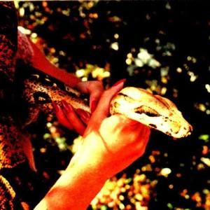 Meet your Posher, Tessa